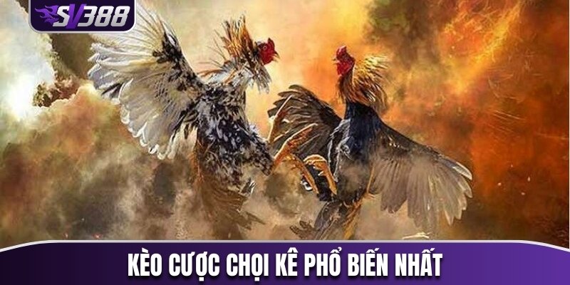 Kèo cược chọi kê phổ biến nhất