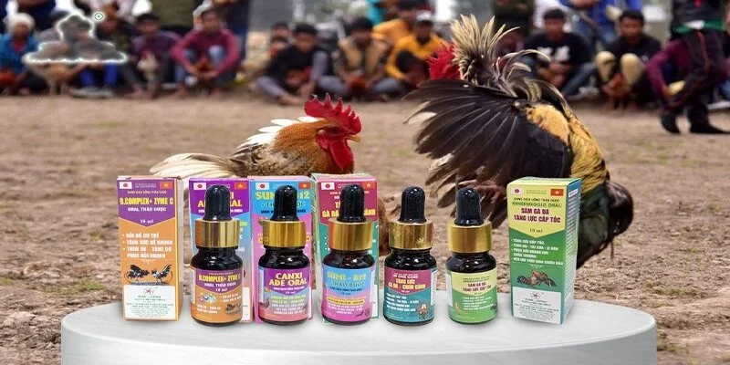 Cách nuôi gà đá với việc cung cấp thực phẩm bổ sung